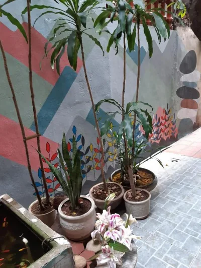 Tonkin Homestay – Foto’s 5